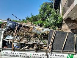 Best Attic Cleanout  in Morenci, MI